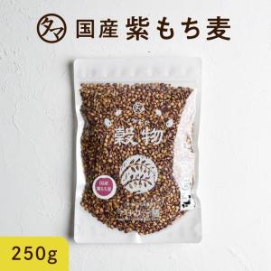 紫もち麦 九州産 250g 雑穀 雑穀米 国産 もち麦 食物繊維 β-グルカン デブ菌 ダイエット 美容 健康 ダイシモチ ポリフェノール 送料無料