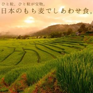 紫もち麦 国産 九州産 500g 雑穀米 小分...の詳細画像4