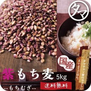 紫もち麦 九州産 5kg 雑穀 雑穀米 国産 もち麦 食物繊維 β-グルカン デブ菌 ダイエット 美容 健康 ダイシモチ ポリフェノール 送料無料｜tamachanshop