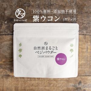 紫うこん粉末 100g ガジュツ ターメリック 健康茶 お茶 健康飲料 健康食品 ウコン茶 ウコン パウダー 送料無料｜tamachanshop