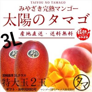 太陽のタマゴ 特大玉2玉 3L 2024年度 宮崎 マンゴー フレッシュ 産地直送 母の日 贈り物 お中元 ギフト 果物 くだもの フルーツ 送料無料