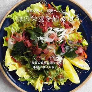 ななつのしあわせ海サラダ 海藻 国産 ワカメ ...の詳細画像3