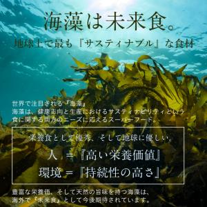 ななつのしあわせ海サラダ 海藻 国産 ワカメ ...の詳細画像4