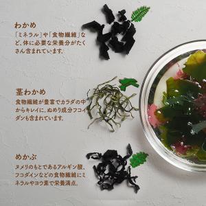 ななつのしあわせ海サラダ 海藻 国産 ワカメ ...の詳細画像5