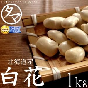 白花豆 1kg 北海道産 令和6年産 国産 まめ 豆 生豆 送料無料