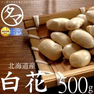白花豆 500g 北海道産 令和4年産 国産 まめ 豆 生豆 送料無料