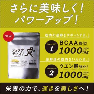 スポーツドリンク 粉末 BCAA クエン酸 レ...の詳細画像1