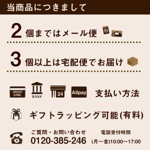スポーツドリンク 粉末 BCAA クエン酸 レ...の詳細画像3