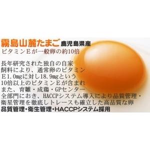 霧島山麓 たまご 10個 ビタミンE 10倍 ...の詳細画像1