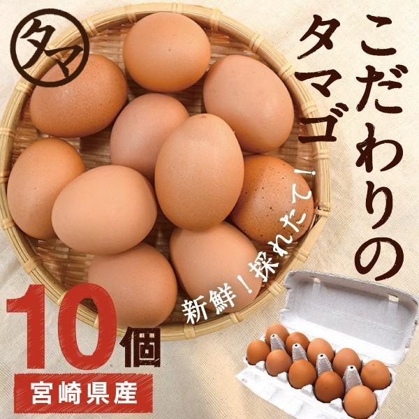 高崎のめぐみ 10個 アスタキサンチン入り赤卵 宮崎県産 都城産 新鮮 たまご 自家配合飼料 生卵 ...