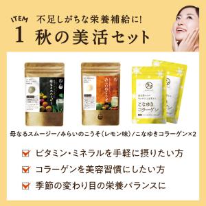 福袋 2026秋 サプリメント コラーゲン ス...の詳細画像2