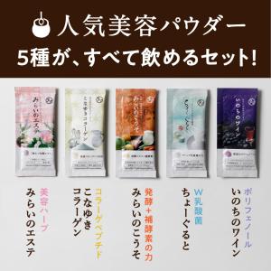 サプリ 酵素 乳酸菌 コラーゲン 美粉屋 5種...の詳細画像4