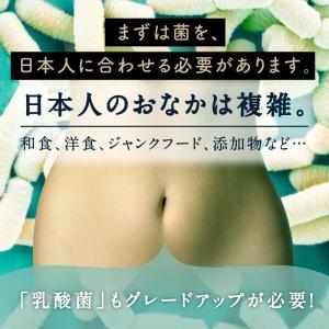 乳酸菌 サプリ 腸活 粉末 100g 美粉屋 ...の詳細画像1