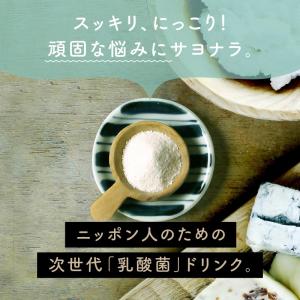 乳酸菌 サプリ 腸活 粉末 100g 美粉屋 ...の詳細画像2
