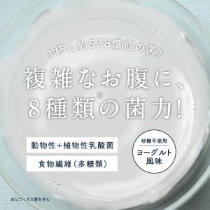乳酸菌 サプリ 腸活 粉末 100g 美粉屋 ...の詳細画像3