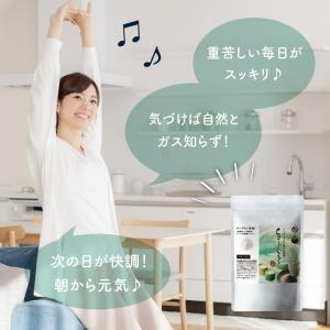 乳酸菌 サプリ 腸活 粉末 100g 美粉屋 ...の詳細画像4
