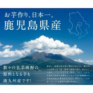 干し芋 3袋セット 紅はるかとろける干し芋 1...の詳細画像3