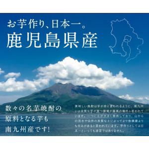 干し芋 紅はるかとろける干し芋 110g 鹿児...の詳細画像3