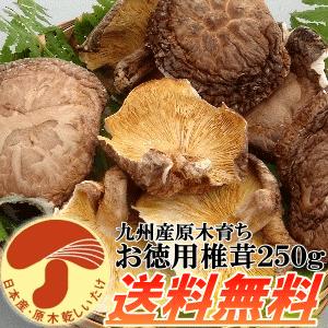 九州産原木乾し徳用椎茸 250g 安心 安全 出汁 ダシ だし 無農薬 原木栽培 乾燥 干し 乾し しいたけ 椎茸 きのこ やさい 野菜 お徳用 送料無料