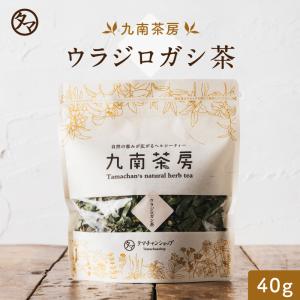 健康茶 国産 ウラジロガシ 40g 茶葉100%...の商品画像