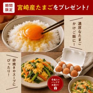 野菜セット 九州産 国産 お試し 8品 やさい...の詳細画像1