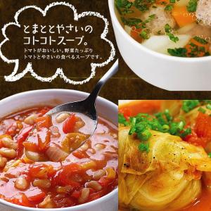 野菜セット 九州産 国産 お試し 8品 やさい...の詳細画像3