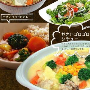 野菜セット 九州産 国産 お試し 8品 やさい...の詳細画像4