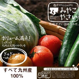 野菜セット 九州産 国産 お試し 8品 やさい...の詳細画像5