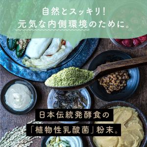 乳酸菌 サプリ 粉末 腸活 100g 美粉屋 ...の詳細画像1