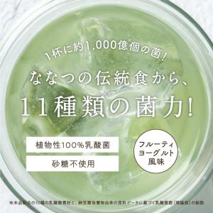 乳酸菌 サプリ 粉末 腸活 100g 美粉屋 ...の詳細画像2