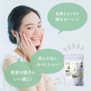 乳酸菌 サプリ 粉末 腸活 100g 美粉屋 ...の詳細画像3