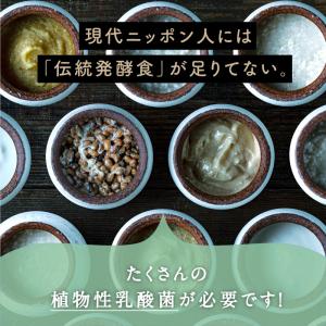 乳酸菌 サプリ 粉末 腸活 100g 美粉屋 ...の詳細画像4