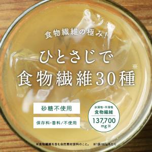 八百屋ファイバー 180g 30品 食物繊維 ...の詳細画像2
