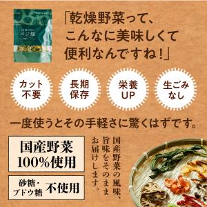 乾燥野菜 ななつのしあわせベジ畑 国産 完全砂...の詳細画像2