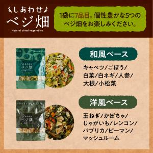 乾燥野菜 ななつのしあわせベジ畑 国産 完全砂...の詳細画像3