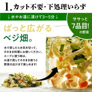 乾燥野菜 ななつのしあわせベジ畑 国産 完全砂...の詳細画像5
