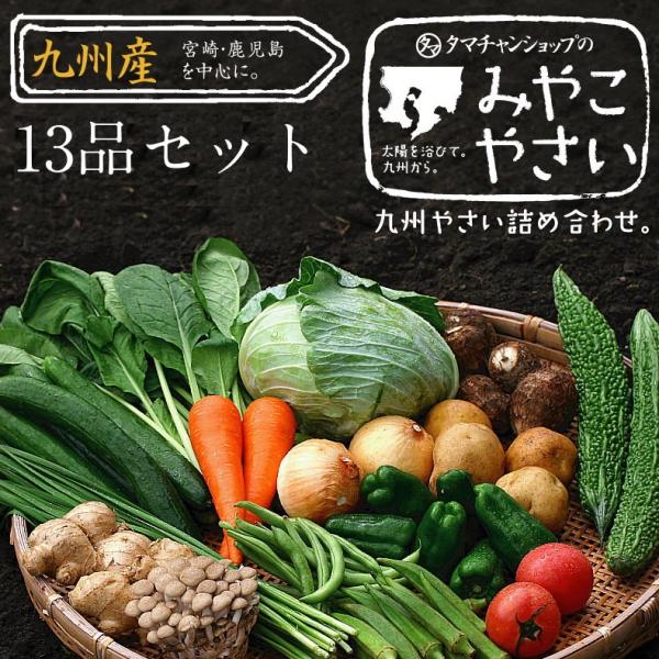 野菜セット 九州産 13品 宮崎産 やさい 産地直送 野菜 季節 旬 きゅうり ピーマン トマト キ...