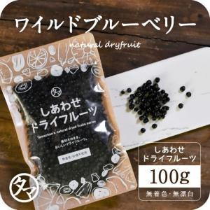 ワイルドブルーベリー 100g アメリカ産 ブルーベリー ドライフルーツ ドライ 果物 くだもの フルーツ お試し ポイント消化