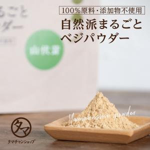 ヤマブシタケ パウダー 山伏茸 粉末 60g ...の詳細画像1