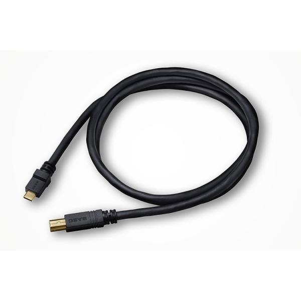 SAEC オーディオUSBケーブル STRATOSPHERE SUS-020 USB Type C-...