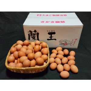 こだわりたまご“蘭王”Ｍサイズ　10kg　鮮やかな濃いオレンジ色の卵黄色　卵　たまご　新鮮