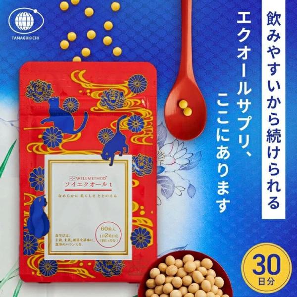 公式 WELLMETHOD ソイエクオール 30日分 60粒入 健康補助食品 エクオール 10mg配...
