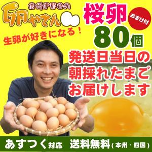 鶏卵 さくら卵 80個 (破損保証20個含む)卵焼きの素2袋のオマケ付き 純国産鶏 産地直送 信州産 卵かけご飯 お菓子作り