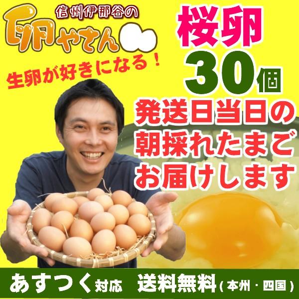 さくら卵 30個 あすつく 純国産鶏 産地直送 朝採れ 朝どり 信州産 本州四国 送料無料 卵かけご...