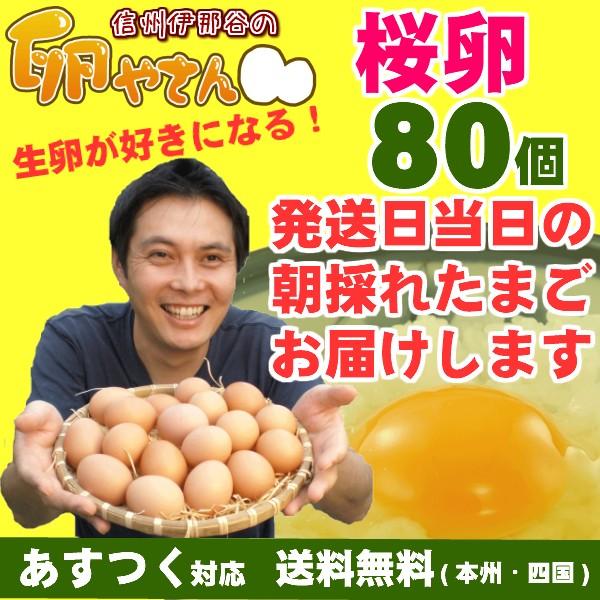 卵 生卵 鶏卵 純国産 産地直送 朝採れ 朝どり さくら卵 80個 (保証20個含) あすつく 送料...