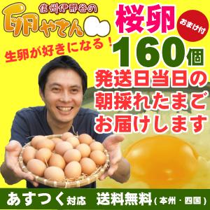 卵 生卵 鶏卵 純国産 産地直送 朝採れ 朝どり さくら卵 160個 (保証20個含) あすつく 送料無料 業務用｜信州伊那谷のたまごやさんヤフー店