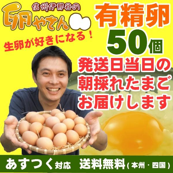 ■定期購入■有精卵 50個 あすつく 純国産鶏 産地直送 朝採れ 朝どり 信州産 卵かけご飯 お菓子...