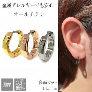 Phiten（ファイテン） ピアス チタン メンズ レディース 2P 両耳用 fe