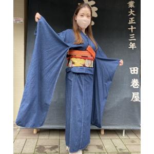 デニム振袖 ノーマル デニム 振袖 着物 フリーサイズ