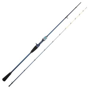 ダイワ(DAIWA) 21 エメラルダス X イカメタル 70MLS-S : たま実屋商店